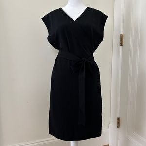 Everlane Japanese GoWeave Short-Sleeve Mini Wrap Dress